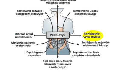 CO WARTO WIEDZIEĆ O PROBIOTYKACH